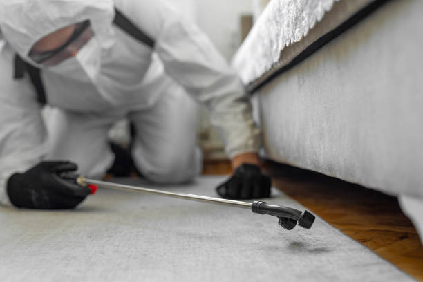 Professional Termite Control technician working in Pitcairn, PA