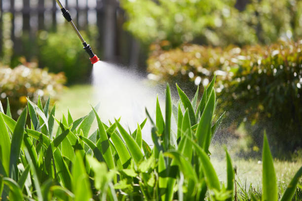 24/7 Emergency Termite Control experts in Pitcairn, PA